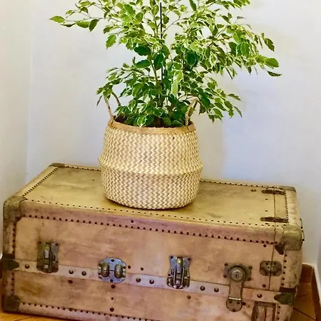 Casa Yahshua Nyaraló