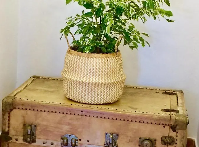 Casa Yahshua Nyaraló